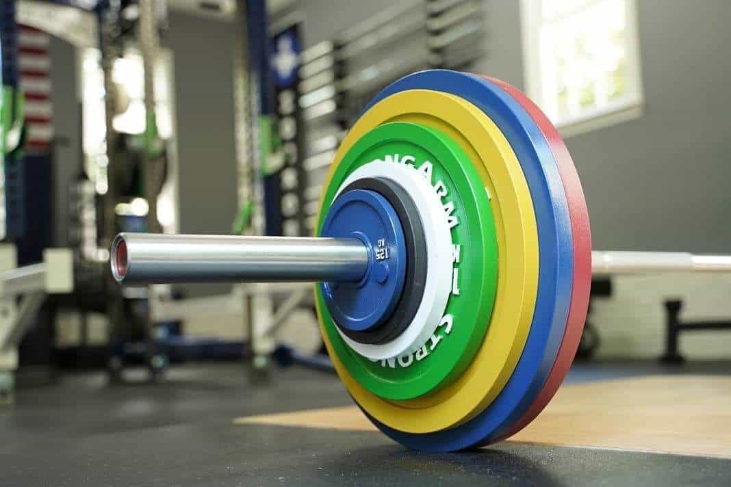 What are the different types of weight plates found in the gym- Mensquats.com