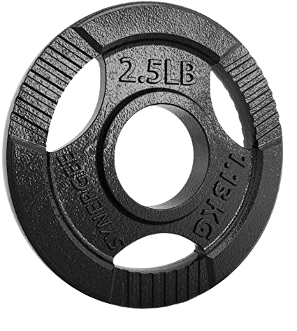 Syneergee_weight_plate_cast_iron-