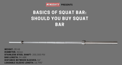 what is squat bar specialty barbell