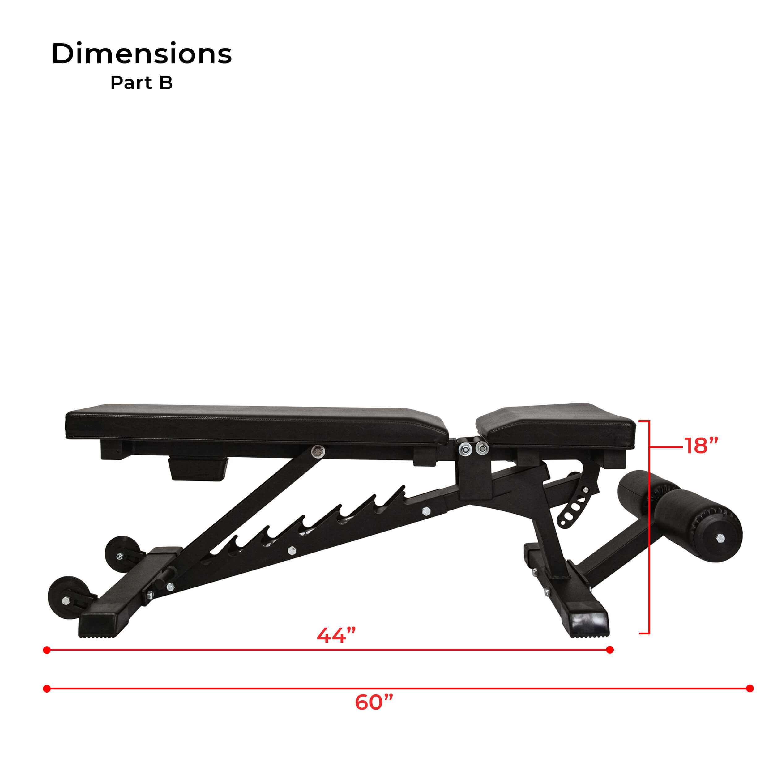 Adjustable Bench dimensions