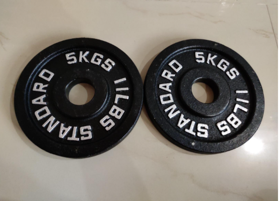 BullrocK Olympic Cast Iron Plates are built to fulfill a budgetary appeal towards the Iron Plates for Strength Training
