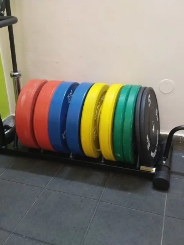 (Make Effective Gym Storage) Leeway horizontal plate rack! - MENSQUATS