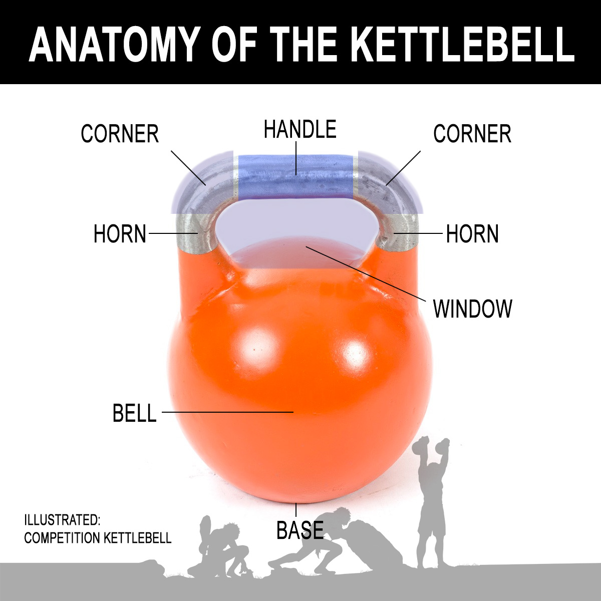 Anatomy of the kettlebell weights